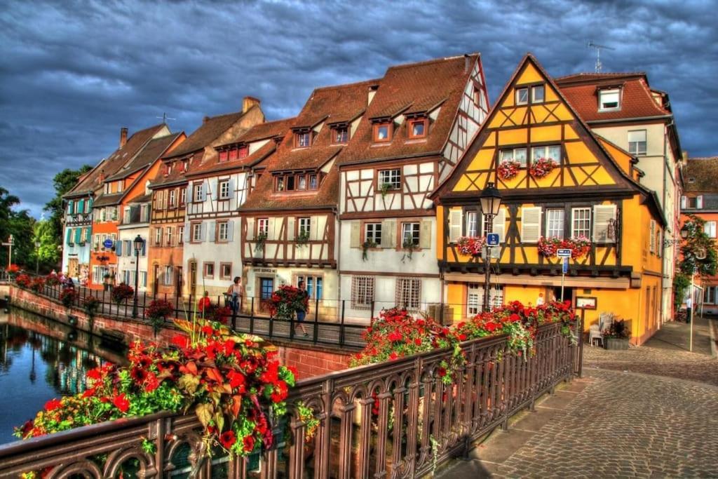 Appartement Climatise 70 M2, Proximite De Colmar Sainte-Croix-en-Plaine Esterno foto