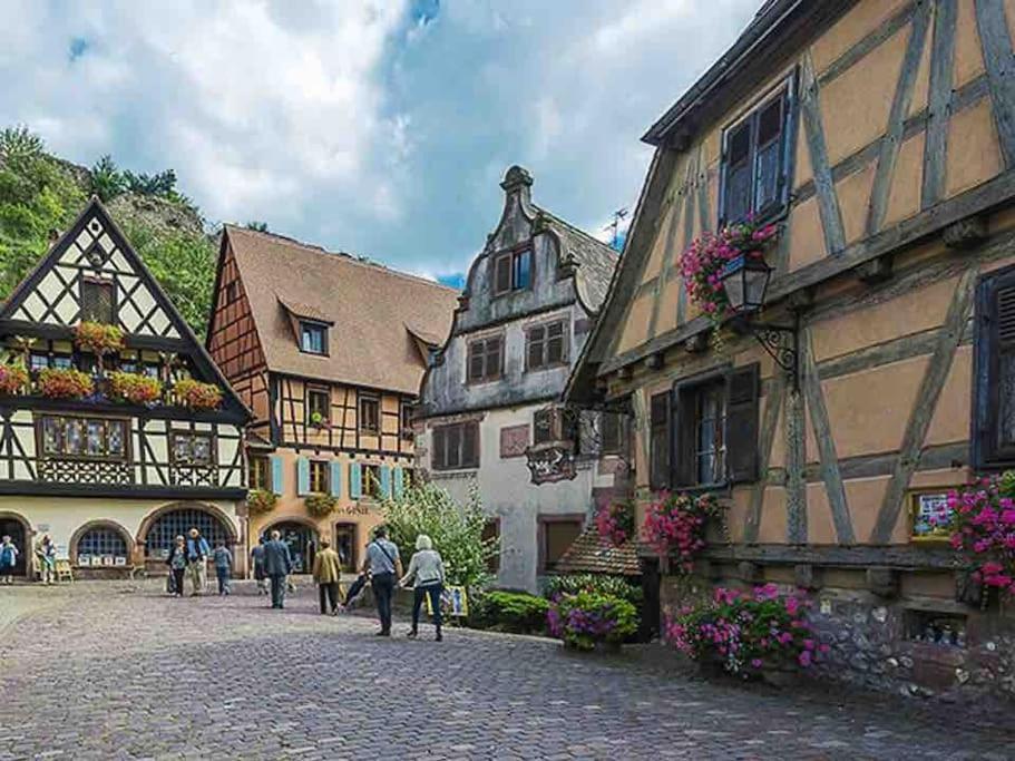 Appartement Climatise 70 M2, Proximite De Colmar Sainte-Croix-en-Plaine Esterno foto