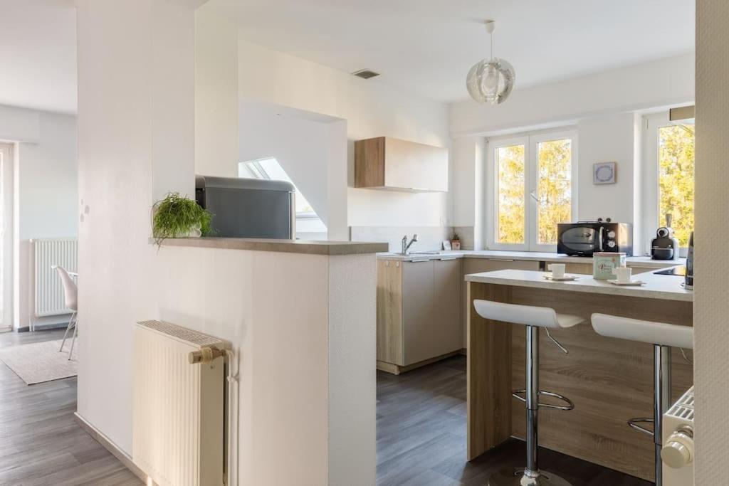 Appartement Climatise 70 M2, Proximite De Colmar Sainte-Croix-en-Plaine Esterno foto