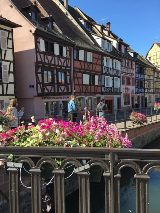 Appartement Climatise 70 M2, Proximite De Colmar Sainte-Croix-en-Plaine Esterno foto