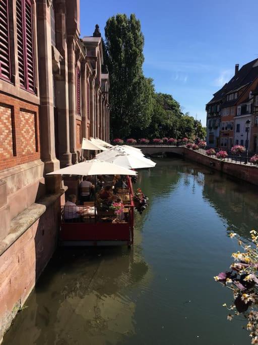Appartement Climatise 70 M2, Proximite De Colmar Sainte-Croix-en-Plaine Esterno foto